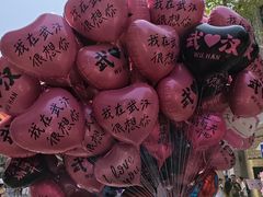 -巴公房子