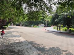 -水濂山森林公园