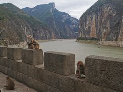 -白帝城·瞿塘峡景区