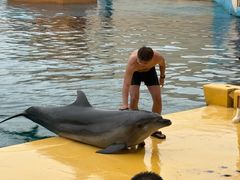 -秦皇岛乐岛海洋王国