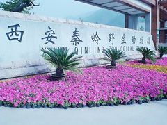 -西安秦岭野生动物园