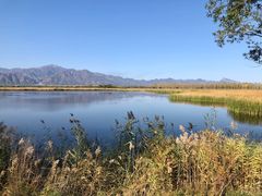 -野鸭湖国家湿地公园