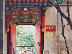 -塔尔寺菩提树