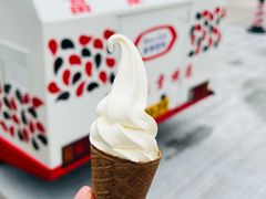 -富豪雪糕车流动点(尖沙咀)