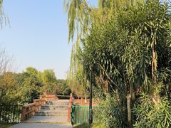 -黄兴公园