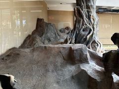 -宁波野生动物园