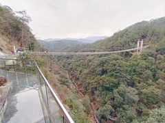 -九龙江国家森林公园