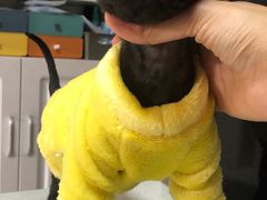 -关爱宠物医院·猫科中心·消化科(滨湖万达分院)