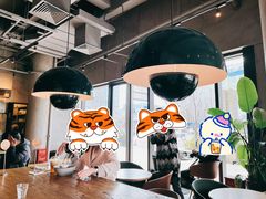 -Wagas沃歌斯(正大乐城店)