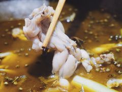 -石锅苗苗鱼(武汉首店)