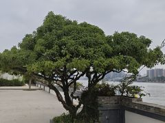 -粥旺庄(芳村店)