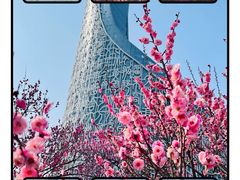 -天鹅湖体育公园