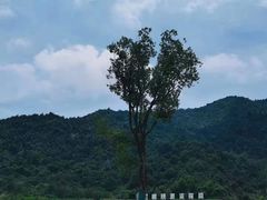 -虎啸峡漂流