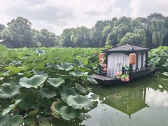-北陵公园