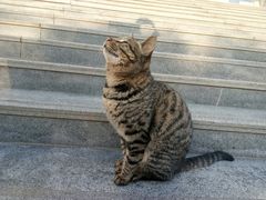 -四川师范大学（成龙校区）-图书馆