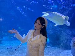 -左海海底世界