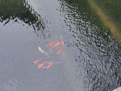 -兰亭风景区