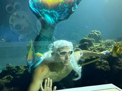 -海棠湾洲际-涛·海底餐厅·龙虾·牛排·美人鱼