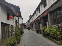 -后柳水乡