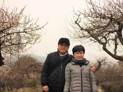 -白马涧龙池景区