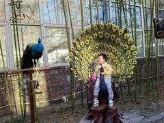-呀路古热带植物园
