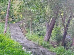 -火炉山森林公园