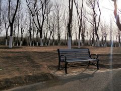 -永定河休闲森林公园