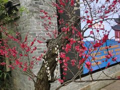 -宁波市保国寺古建筑博物馆