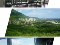 android_upload_pic-三亚亚龙湾人间天堂鸟巢度假村