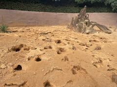 -杭州野生动物世界
