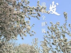 -泰丰公园
