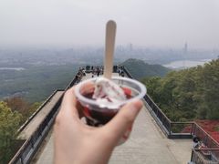 -紫金山山顶公园