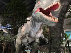 -湖南省地质博物馆