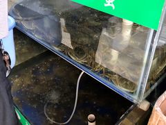 -阳澄湖大闸蟹·琼灵阁牌品牌连锁(吴中总店)