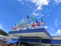 -南纪白浜Toretore市场