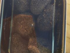 -叶氏麻糍(鼓浪屿店)
