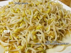 笨豆芽炒肉丝-鑫诚筋饼王(红旗小区店)