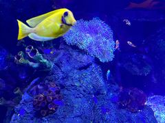 -沈阳海洋探索中心