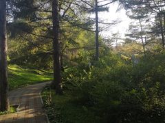 -黑龙江省森林植物园