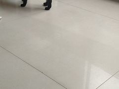 -宠颐生·恒爱宠物医院(静海店)