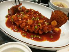 -金陵夜猫子私房菜(茂业天地店)