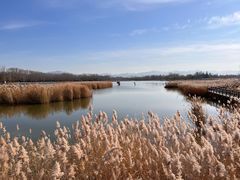 -野鸭湖国家湿地公园