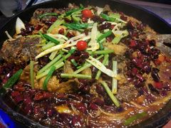 -老板恋上鱼(恒隆广场店)