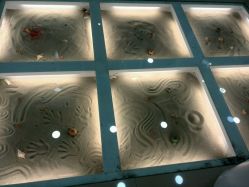 -贝凯雅婴儿游泳SPA(华东万和城店)