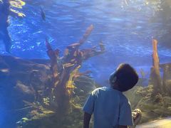 -太平洋海底世界