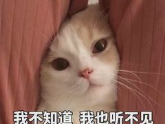 -江门恒大泉都