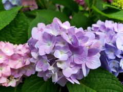 -新天地活力PARK