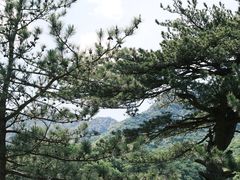 -玉渡山自然风景区