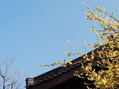 -钱王祠