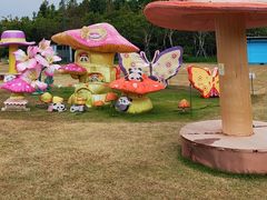 -上海长兴岛郊野公园